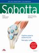 Atlas anatomii czowieka Sobotta. Tom 1. Angielskie mianownictwo. Oglne pojcia anatomiczne. Narzd, 