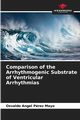 Comparison of the Arrhythmogenic Substrate of Ventricular Arrhythmias, Prez Mayo Osvaldo Angel