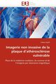 Imagerie non invasive de la plaque d''athrosclrose vulnrable, HYAFIL-F