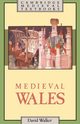 Medieval Wales, Walker David