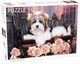 Puzzle Yorkshire Terrier with Roses 500, 