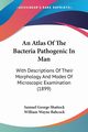 An Atlas Of The Bacteria Pathogenic In Man, Shattock Samuel George
