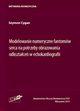 Modelowanie numeryczne fantomw serca na potrzeby obrazowania odksztace w echokardiografii, Cygan Szymon