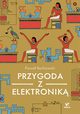 Przygoda z elektronik, Borkowski Pawe