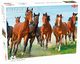 Puzzle Wild and Free 500, 