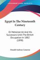 Egypt In The Nineteenth Century, Cameron Donald Andreas