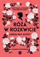 Ra w rozkwicie, Alcott Louisa May