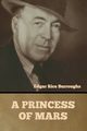 A Princess of Mars, Burroughs Edgar  Rice