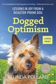 Dogged Optimism (Large Print), Pollard Belinda