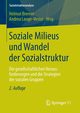 Soziale Milieus und Wandel der Sozialstruktur, 