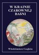 W krainie Czarownej Bani, Czajkin Wodzimierz