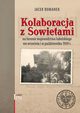 Kolaboracja z Sowietami na terenie wojewdztwa lubelskiego we wrzeniu i w padzierniku 1939 r., Romanek Jacek