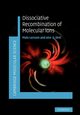 Dissociative Recombination of Molecular Ions, Larsson Mats