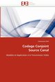 Codage conjoint source canal, AZNI-M