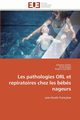 Les pathologies orl et repiratoires chez les bbs nageurs, Collectif