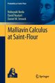 Malliavin Calculus at Saint-Flour, Ikeda Nobuyuki
