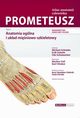 Prometeusz Atlas Anatomii Czowieka. Tom 1, Schunke Michael, Schulte Erik, Schumacher Udo