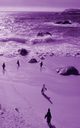 Alive! little penguin friends - Violet duotone - Photo Art Notebooks (5 x 8 series), Jansson Eva-Lotta