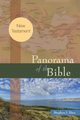 Panorama of the Bible, Binz Stephen J