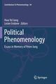 Political Phenomenology, 