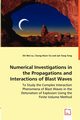 Numerical Investigations in the Propagations and Interactions of Blast Waves, Lo Shi Wei
