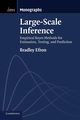 Large-Scale Inference, Efron Bradley