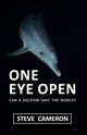 One Eye Open, Cameron Steve