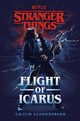 Stranger Things Flight of Icarus, Schneiderhan Caitlin