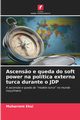 Ascens?o e queda do soft power na poltica externa turca durante o JDP, Eksi Muharrem
