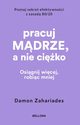 Pracuj mdrze, a nie ciko, Zahariades Damon