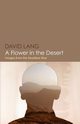 A Flower in the Desert, Lang David