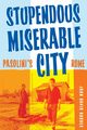 Stupendous, Miserable City, Rhodes John David