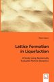 Lattice Formation in Liquefaction, Spears Robert