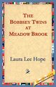 The Bobbsey Twins at Meadow Brook, Hope Laura Lee