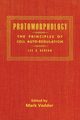 Protomorphology, Lee Royal