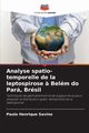 Analyse spatio-temporelle de la leptospirose ? Belm do Par, Brsil, Savino Paulo Henrique