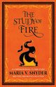 The Study of Fire, Snyder Maria V.