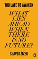 Too Late to Awaken, iek Slavoj