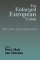 The Enlarged European Union, 