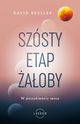 Szsty etap aoby, Kessler David