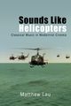 Sounds Like Helicopters, Lau Matthew