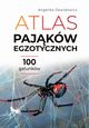Atlas pajkw egzotycznych, Dawidowicz Angelika