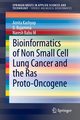 Bioinformatics of Non Small Cell Lung Cancer and the Ras Proto-Oncogene, Kashyap Amita