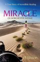 Miracle on Worchester Avenue, Sisson PJ