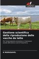 Gestione scientifica della riproduzione delle vacche da latte, MURUGAVEL K