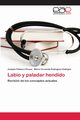 Labio y paladar hendido, Palmero Picazo Joaqun