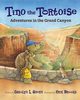 Tino the Tortoise, Ahern Carolyn L.