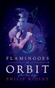 Flamingoes in Orbit, Ridley Philip