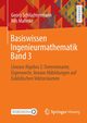 Basiswissen Ingenieurmathematik Band 3, Schlchtermann Georg