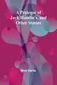 A Protegee of Jack Hamlin's, and Other Stories, Harte Bret